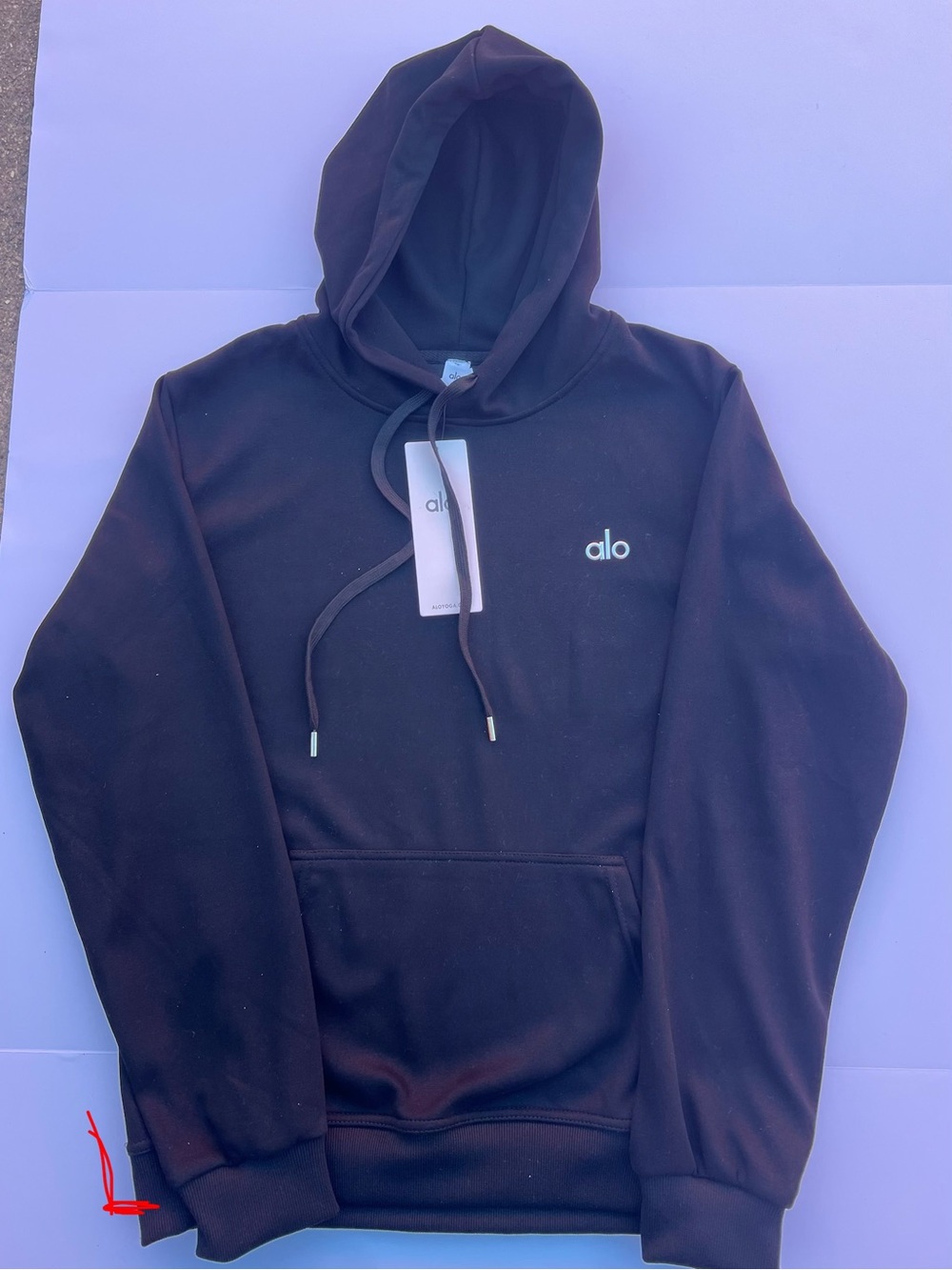 ALO Yoga Unisex Black Pullover Hoodie with Small Logo